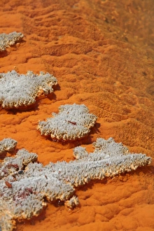 Orange coloration in Champagne Pool hot spring, Wai-O-Tapu Geothermal area, New Zealand Orange coloration in Champagne Pool hot spring, Wai-O-Tapu Geothermal area, New Zealand