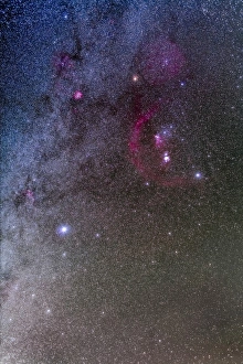 Orion and Canis Major with the dog star Sirius at lower left Orion and Canis Major with the dog star Sirius at lower left