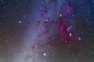 Orion and Canis Major showing dog stars Sirius and Procyon Orion and Canis Major showing dog stars Sirius and Procyon