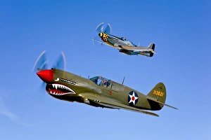 A P-40E Warhawk and a P-51D Mustang Kimberly Kaye in flight A P-40E Warhawk and a P-51D Mustang Kimberly Kaye in flight