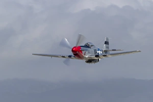 A P-51 Mustang flies by at Half Moon Bay, California A P-51 Mustang flies by at Half Moon Bay, California