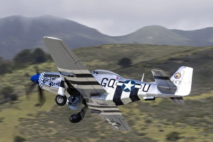 A P-51 Mustang takes off from Half Moon Bay, California A P-51 Mustang takes off from Half Moon Bay, California