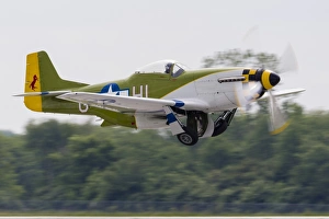 A P-51 Mustang takes off from Mount Comfort, Indiana A P-51 Mustang takes off from Mount Comfort, Indiana