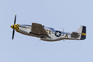A P-51 Mustang takes off from Santa Rosa, California A P-51 Mustang takes off from Santa Rosa, California
