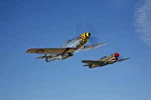A P-51D Mustang Kimberly Kaye and a P-40E Warhawk in flight A P-51D Mustang Kimberly Kaye and a P-40E Warhawk in flight