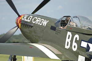 P-51D Mustang in United States Army Air Corps colors P-51D Mustang in United States Army Air Corps colors