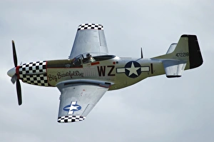 P-51D Mustang in World War II United States Army Air Corps colors P-51D Mustang in World War II United States Army Air Corps colors