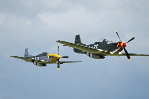Two P-51D Mustangs in United States Army Air Corps colors Two P-51D Mustangs in United States Army Air Corps colors