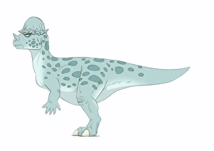 Pachycephalosaurus pencil drawing with digital color Pachycephalosaurus pencil drawing with digital color