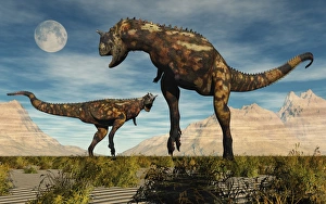 A pair of Carnotaurus dinosaurs fighting over territory A pair of Carnotaurus dinosaurs fighting over territory