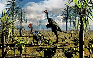 A pair of omnivorous Caudipteryx feathered dinosaurs A pair of omnivorous Caudipteryx feathered dinosaurs