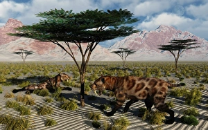 A pair of sabre-toothed cats resting under a treat on a hot day A pair of sabre-toothed cats resting under a treat on a hot day
