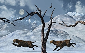 A pair of Sabre-Toothed Tigers giving chase to their next meal A pair of Sabre-Toothed Tigers giving chase to their next meal