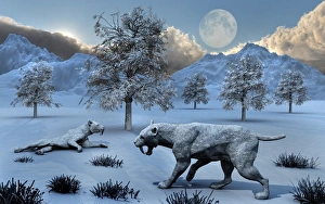 A pair of Sabre-Toothed Tigers surviving a prehistoric winter A pair of Sabre-Toothed Tigers surviving a prehistoric winter
