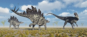 A pair of Stegosaurus dinosaurs confronting an Allosaurus A pair of Stegosaurus dinosaurs confronting an Allosaurus