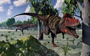A pair of Tarbosaurus dinosaurs hunting for food A pair of Tarbosaurus dinosaurs hunting for food