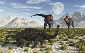 A pair of Tarbosaurus dinosaurs running towards a Pinacosaurus A pair of Tarbosaurus dinosaurs running towards a Pinacosaurus