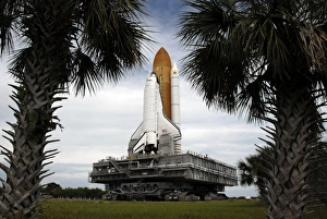 Palmetto trees frame space shuttle Endeavour as it rolls toward the launch pad Palmetto trees frame space shuttle Endeavour as it rolls toward the launch pad