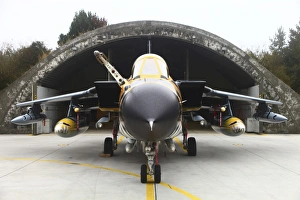 A Panavia Tornado aircraft of the German Air Force A Panavia Tornado aircraft of the German Air Force