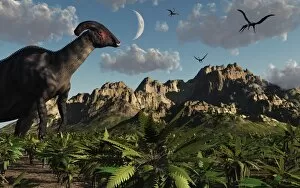 Hadrosaurid Gallery: A Parasaurolophus dinosaur during the late Cretaceous period