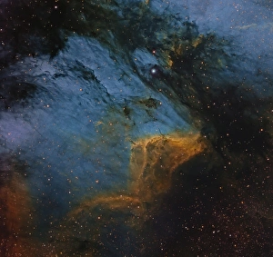 The Pelican Nebula, an H II region in the constellation Cygnus The Pelican Nebula, an H II region in the constellation Cygnus