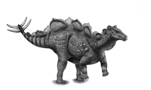 Pencil drawing of Wuerhosaurus homheni standing on its hind legs Pencil drawing of Wuerhosaurus homheni standing on its hind legs