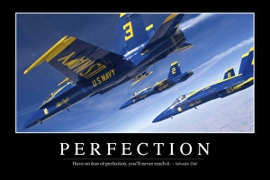 Perfection: Inspirational Quote and Motivational Poster Perfection: Inspirational Quote and Motivational Poster