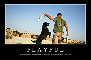 Playful: Inspirational Quote and Motivational Poster Playful: Inspirational Quote and Motivational Poster