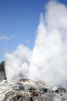 Pohutu and Prince of Wales Feathers Geyser, Whakarewarewa, Rotorua, New Zealand Pohutu and Prince of Wales Feathers Geyser, Whakarewarewa, Rotorua, New Zealand