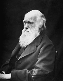 Portrait of naturalist and geologist Charles Darwin Portrait of naturalist and geologist Charles Darwin