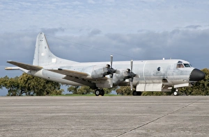 A Portuguese Air Force P-3P Orion at Beja Air Base, Portugal A Portuguese Air Force P-3P Orion at Beja Air Base, Portugal