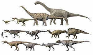 Prehistoric era dinosaurs of Niger drawn to scale Prehistoric era dinosaurs of Niger drawn to scale