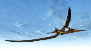 <b class=qtipBold><figcaption>Pteranodon bird flying in blue sky</figcaption></b><br>Pteranodon bird flying in blue sky.<br><em>© Elena Duvernay/Stocktrek Images</em> Pteranodon bird flying in blue sky