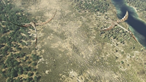 Quetzalcoatlus flying above a herd of Edmontosaurus dinosaurs Quetzalcoatlus flying above a herd of Edmontosaurus dinosaurs