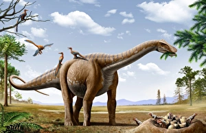 A Rapetosaurus feeding on leaves with Rahonavis on its back A Rapetosaurus feeding on leaves with Rahonavis on its back