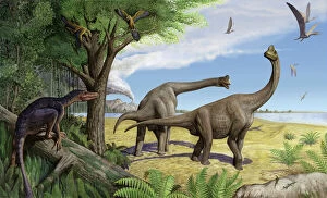 Prehistoric Era Gallery: A raptor stalks a pair of grazing Europasaurus holgeri dinosaurs