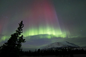 Red and green aurora borealis over Carcross Desert, Carcross, Yukon, Canada Red and green aurora borealis over Carcross Desert, Carcross, Yukon, Canada