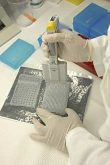 Researcher in lab uses pipette and measures RNA Researcher in lab uses pipette and measures RNA