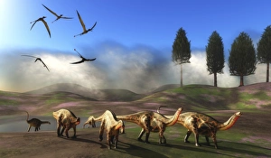 Rhamphorhynchus birds fly over a herd of Dicraeosaurus dinosuars Rhamphorhynchus birds fly over a herd of Dicraeosaurus dinosuars