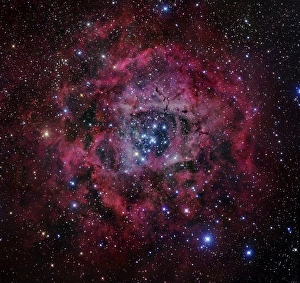 <b class=qtipBold><figcaption>The Rosette Nebula</figcaption></b><br>The Rosette Nebula is a large, circular H II region located near one end of a giant molecular cloud in the constellation Monoceros.<br><em>© Robert Gendler/Stocktrek Images</em> The Rosette Nebula