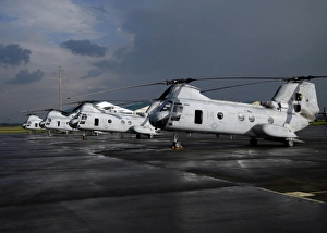 A row of CH-46 Sea Knights sit on the flight line A row of CH-46 Sea Knights sit on the flight line