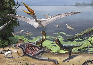 Rugops primus dinosaurs and Alanqa pterosaurs mortify a dead carcass Rugops primus dinosaurs and Alanqa pterosaurs mortify a dead carcass