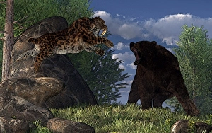 A saber-toothed cat leaps at a grizzly bear on a mountain path A saber-toothed cat leaps at a grizzly bear on a mountain path
