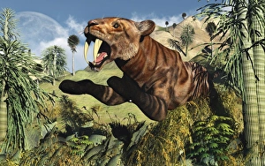 A Sabre Tooth Tiger springs its trap as it leaps out at any ususpecting prey A Sabre Tooth Tiger springs its trap as it leaps out at any ususpecting prey