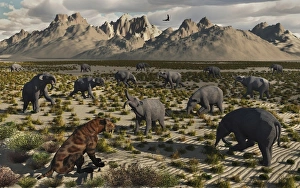 A Sabre-Toothed Tiger stalks a herd of Deinotherium A Sabre-Toothed Tiger stalks a herd of Deinotherium