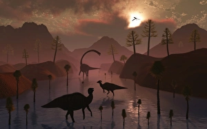 Sauropod and duckbill dinosaurs feed peacefully together Sauropod and duckbill dinosaurs feed peacefully together
