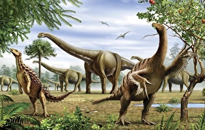 Scelidosaurus, Nothronychus and Argentinosaurus dinosarus grazing on leaves Scelidosaurus, Nothronychus and Argentinosaurus dinosarus grazing on leaves