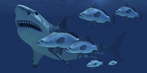 A school of fish encounter a monstrous Megalodon shark A school of fish encounter a monstrous Megalodon shark