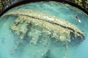 A shipwreck now serves as an artificial reef in Palaus inner lagoon A shipwreck now serves as an artificial reef in Palaus inner lagoon