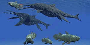 A Shonisaurus Ichthyosaur stabs a Coelacanth fish in Triassic seas A Shonisaurus Ichthyosaur stabs a Coelacanth fish in Triassic seas